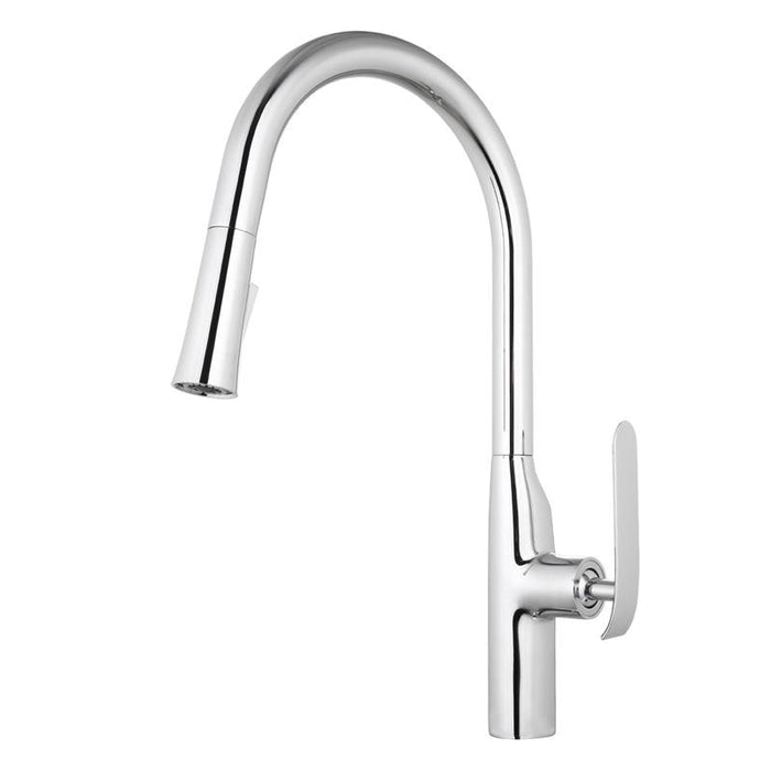 Aquamoon Dylan Single-Handle Kitchen Sink Faucet With Pull Down Sprayer, Chrome Finished