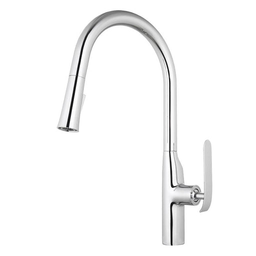 Aquamoon Dylan Single-Handle Kitchen Sink Faucet With Pull Down Sprayer, Chrome Finished