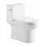 Aquamoon 324 Elongated One Piece Toilet With Soft Closing Seat, Water Sense, High-Efficiency, Color White