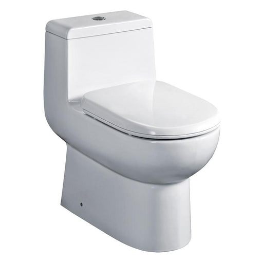 Eago 351 Dual Flush Elongated One Piece Toilet With Soft Closing Seat, Water Sense, High-Efficiency, Color White