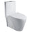 Aquamoon 382 Dual Flush Elongated One Piece Toilet With Soft Closing Seat, Water Sense, High-Efficiency, Color White
